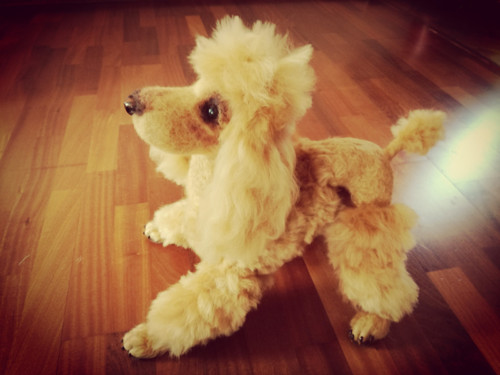 Fenka Pudlinka — foto 4