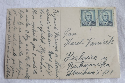 Hnědobílé vánoce — foto 2