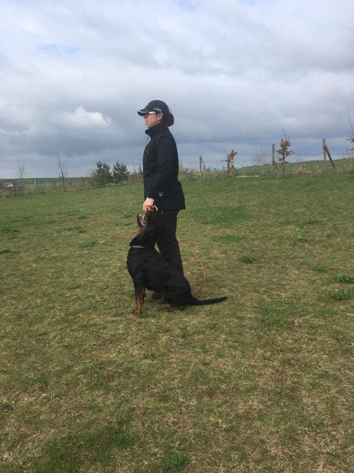 Výcviková vesta-softshell M/L — foto 5
