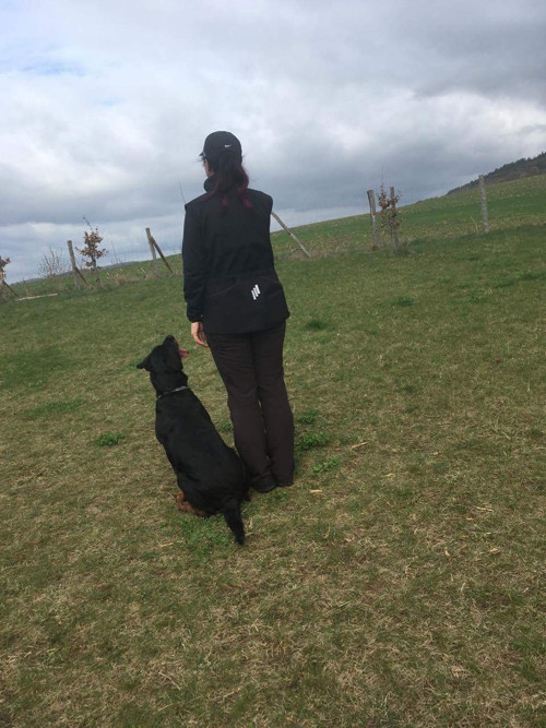 Výcviková vesta-softshell XL/XXL — foto 2