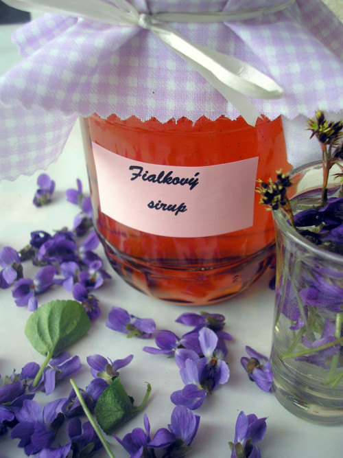Fialkový sirup, 420 gramů — foto 2