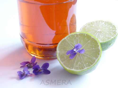 Fialkový sirup, 420 gramů — foto 3