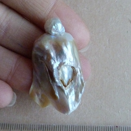 Perla kultivovaná — foto 2