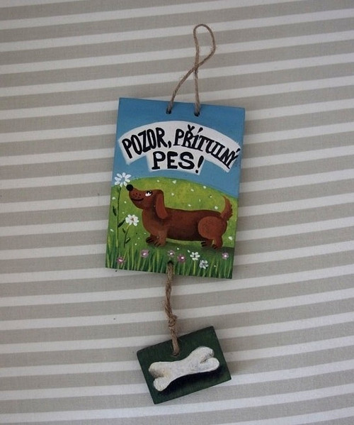 Pozor,přítulný pes — foto 2