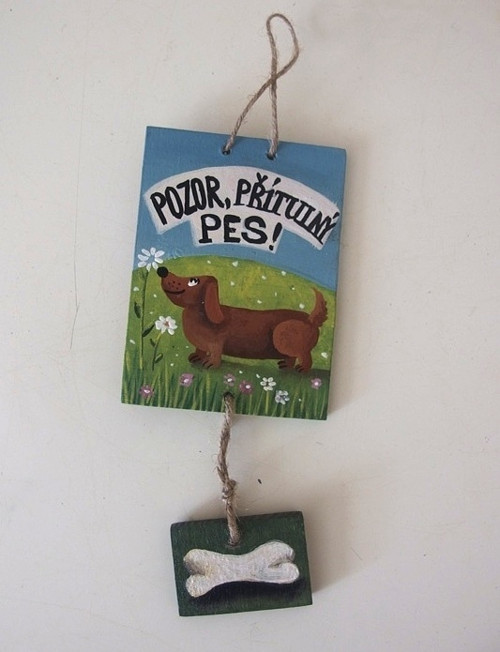 Pozor,přítulný pes — foto 3