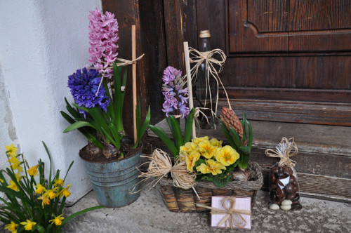 Rozárka užitečná modrotisková — foto 5