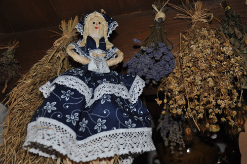 Rozárka užitečná modrotisková — foto 4
