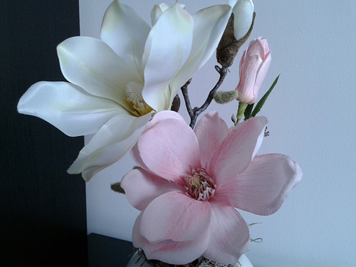 Celoroční dekorace s magnolií — foto 2