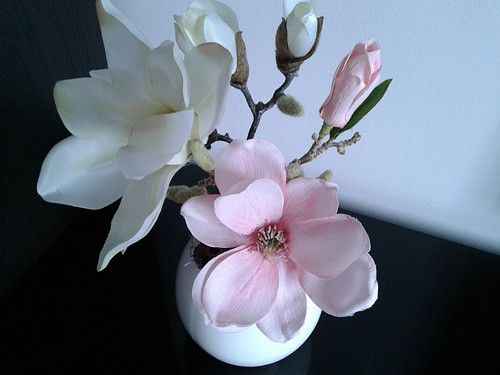 Celoroční dekorace s magnolií — foto 4