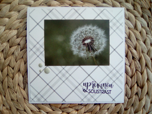 Kondolence IV — foto 2