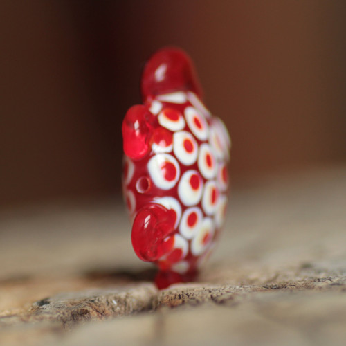 Ryba Stella - vinutka — foto 4