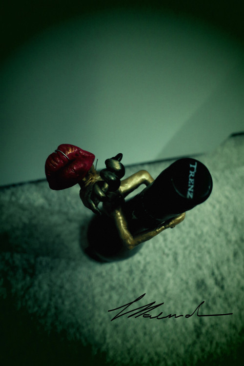 Pussa — foto 5