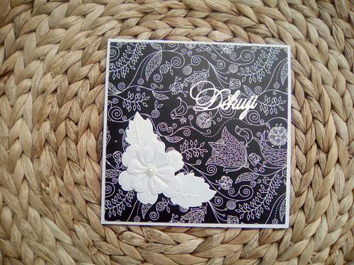 Černo-bílé poděkování — foto 2