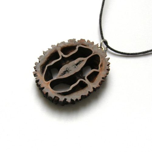 Orechový ornament — foto 2
