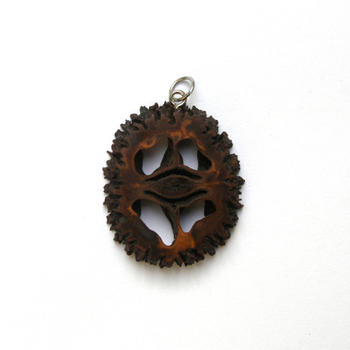 Orechový ornament — foto 3