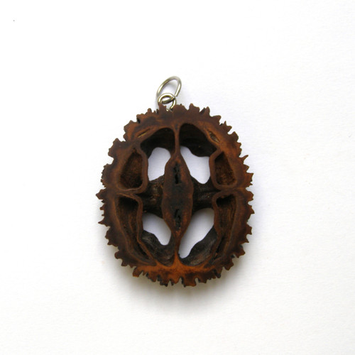 Orechový ornament — foto 4