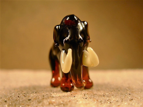 Mamut — foto 2