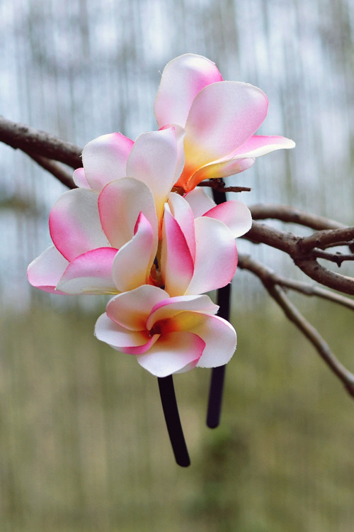 Čelenka "Magnolie" — foto 2