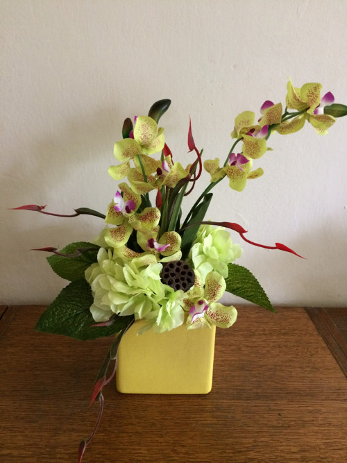 Orchideje v kostce — foto 2
