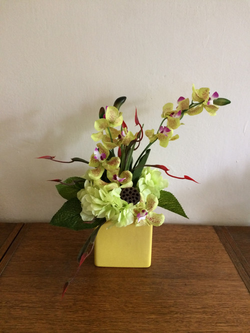 Orchideje v kostce — foto 3