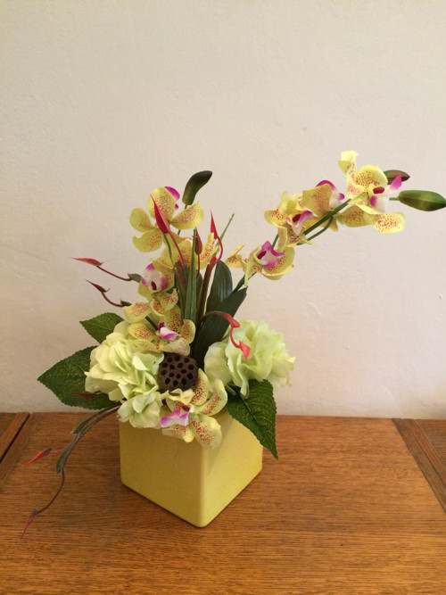 Orchideje v kostce — foto 4