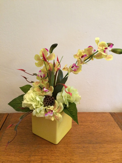 Orchideje v kostce — foto 5