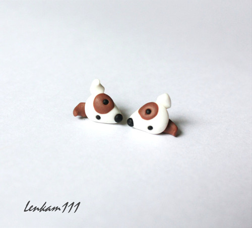 Jack Russel- puzetky — foto 2