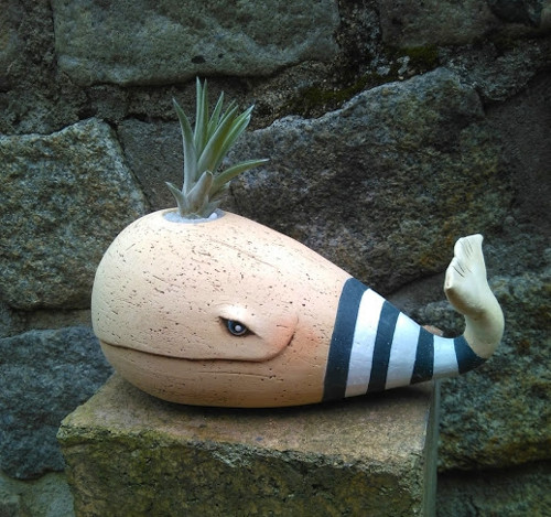 Modrá velryba — foto 2