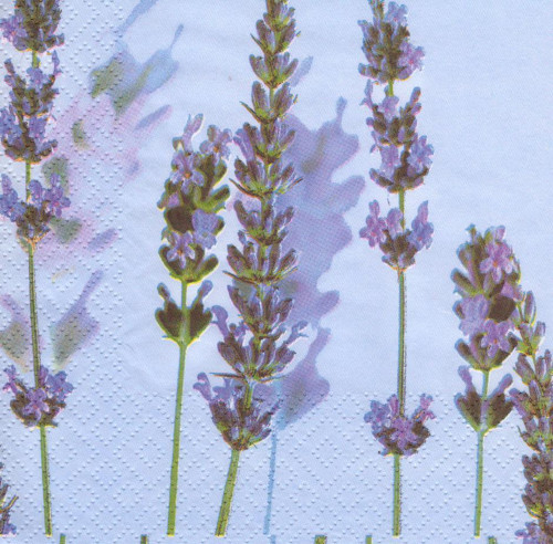 Ubrousek - levandule — foto 2