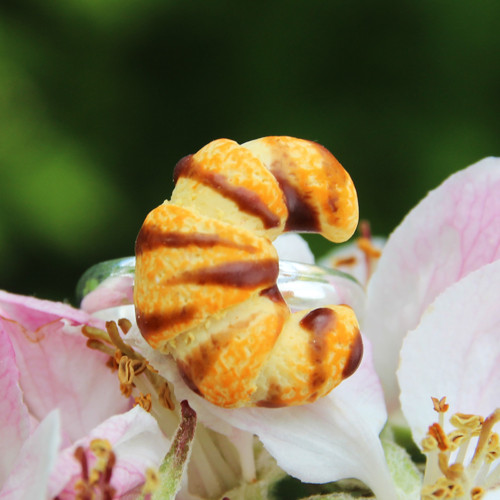 Croissant s čokoládou — foto 3