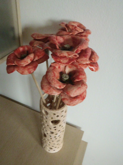 Vlčí máky — foto 2