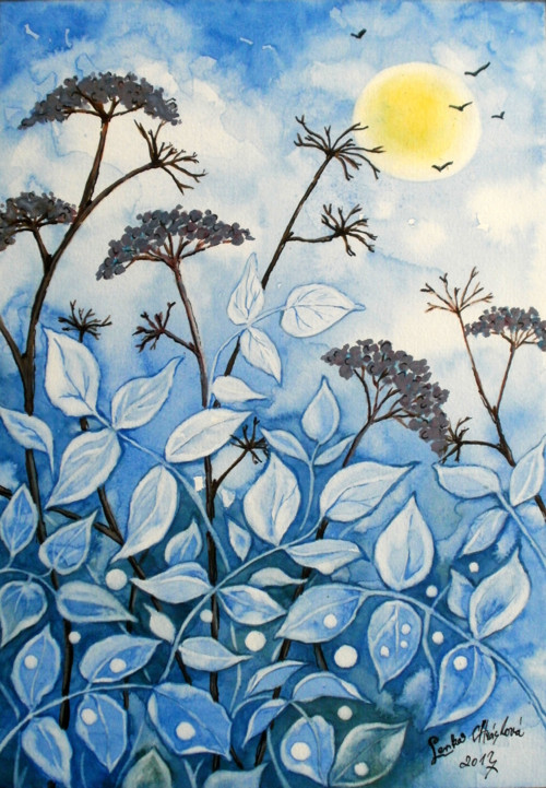 Zimní slunce — foto 2
