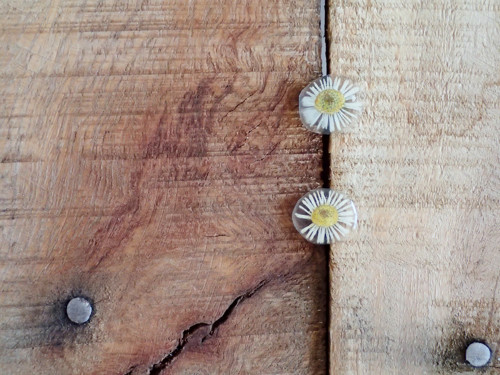 Daisy — foto 3