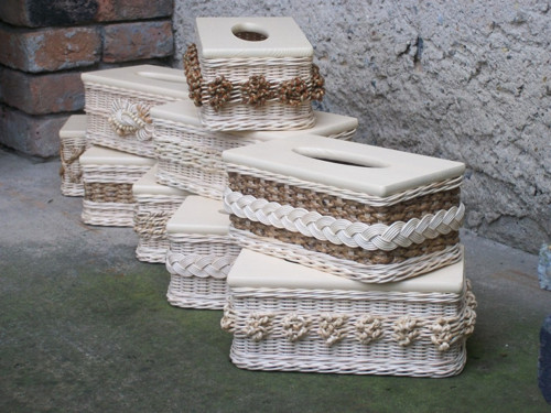 Kapesníkovník — foto 2