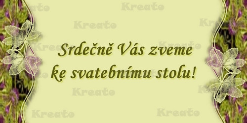 Svatební oznámení No.7 — foto 3