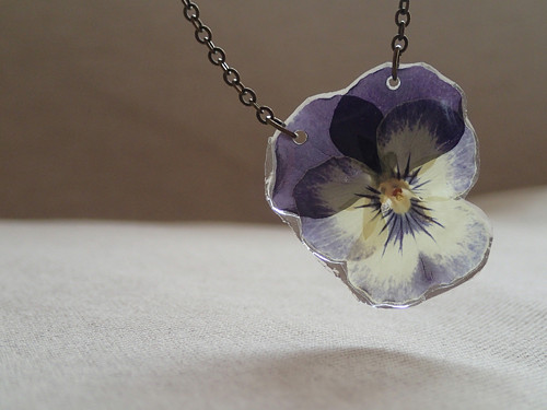 Viola — foto 4