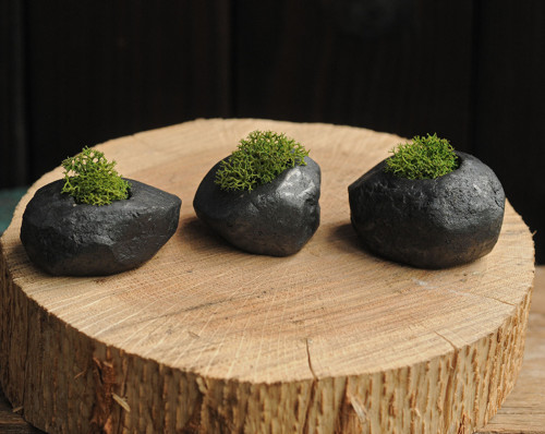 Miniatúrna RAKU záhrada — foto 3
