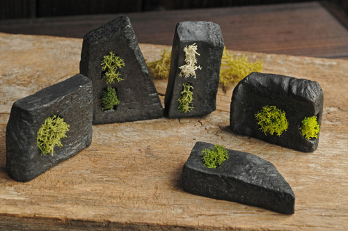 Miniatúrna RAKU záhrada — foto 3