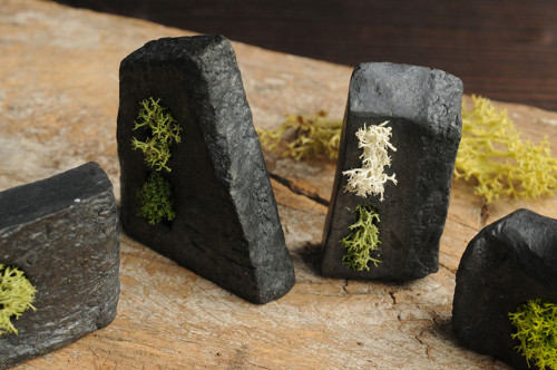 Miniatúrna RAKU záhrada — foto 4