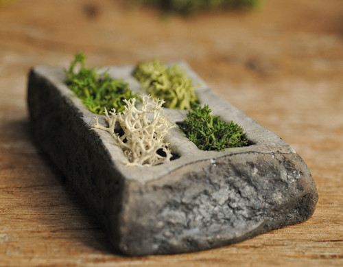 Miniatúrna RAKU záhrada — foto 5