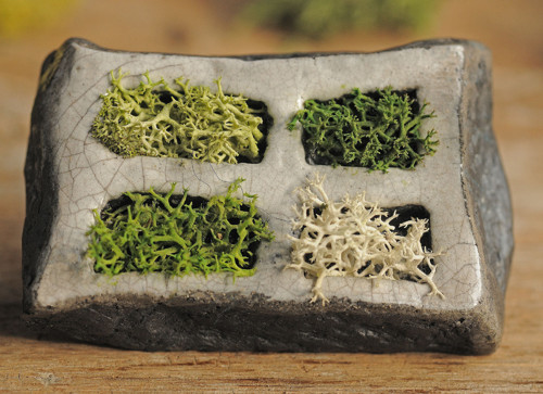 Miniatúrna RAKU záhrada — foto 6