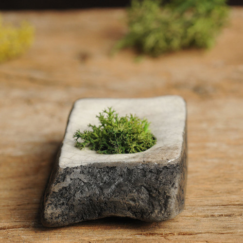 Miniatúrna RAKU záhrada — foto 3