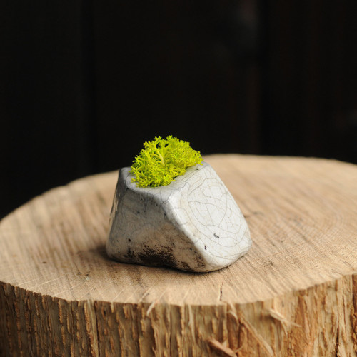 Miniatúrna RAKU záhrada — foto 2