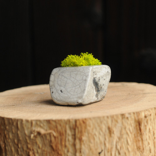 Miniatúrna RAKU záhrada — foto 3