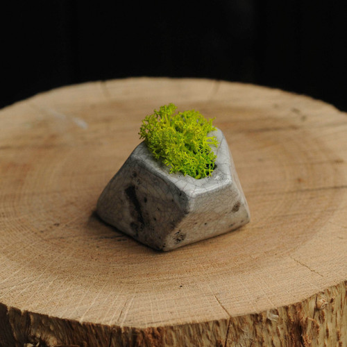 Miniatúrna RAKU záhrada — foto 5