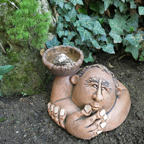 Ptači Wellness — foto 5