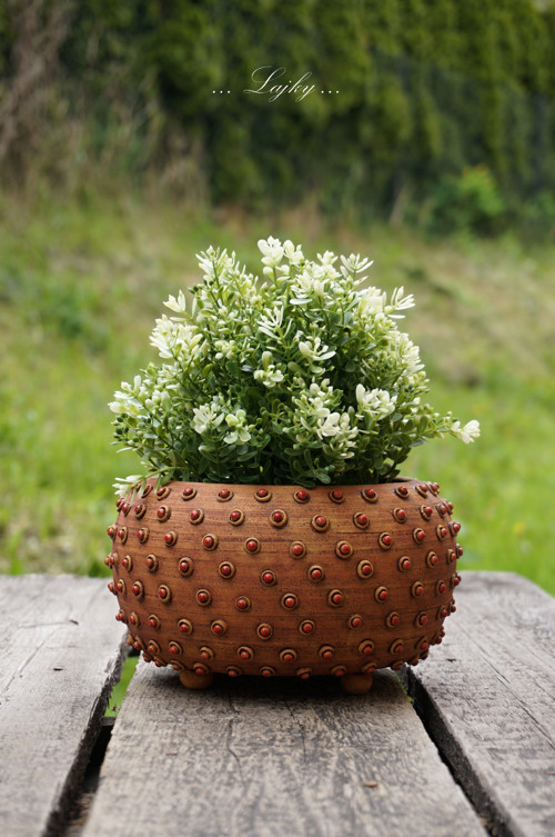 Čudlíci — foto 3