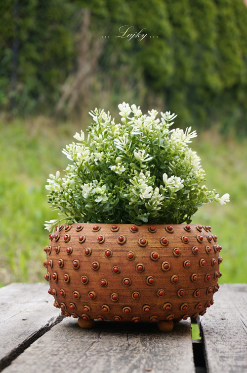 Čudlíci — foto 5