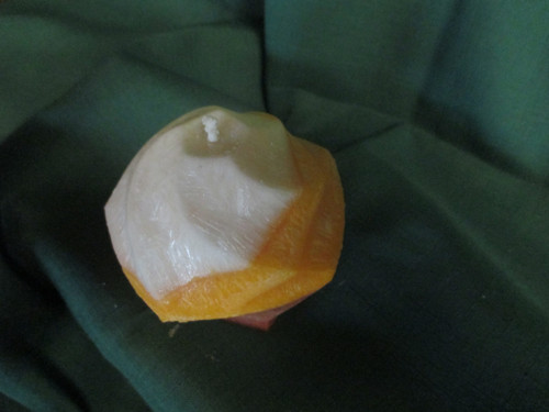 Kroucená koule-medová růže — foto 3