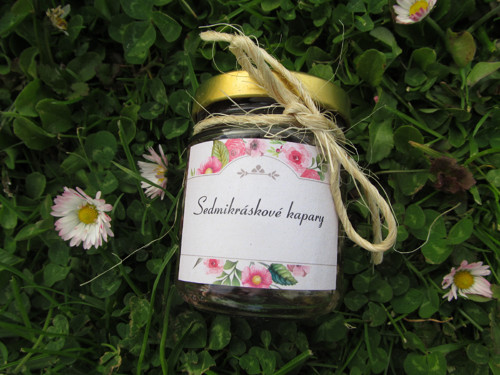 Sedmikráskové kapary — foto 3